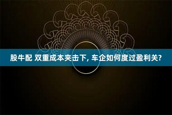 股牛配 双重成本夹击下, 车企如何度过盈利关?